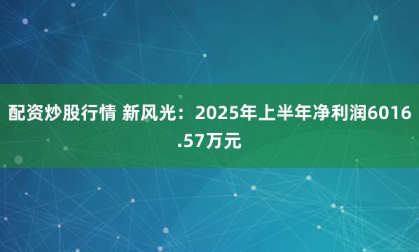 配资炒股行情 新风光：2025年上半年净利润6016.57万元